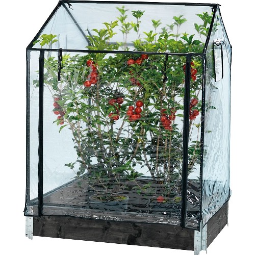 Växthus HORTUS för odlingskrage