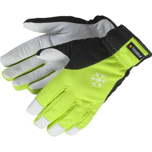 Goat grain glove TEGERA 293
