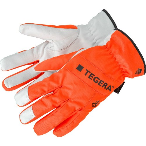 Getnarvshandske TEGERA 288